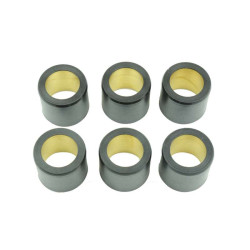 Kit 6 galets Athena 25x22,2 28 grs
