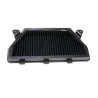 Filtre à air Racing SPRINT FILTER F1-85 HONDA CBR1000RR 17-