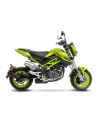 Silencieux LEOVINCE LV-10 inox - BENELLI TORNADO NAKED T 125 / TNT 135 2017 - 2023