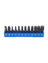 Jeu de 12 embouts Torx/Étoile 1/4 SBV Tools - Longueur 25 mm