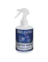 Nettoyant moto Belgom JANTES 250ml