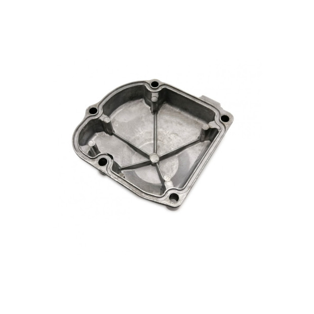 Carter moteur alternateur BRAZOLINE - KAWASAKI Z1000