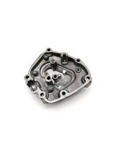 Carter moteur alternateur BRAZOLINE - YAMAHA YZF R1 1000 2009-2014 2