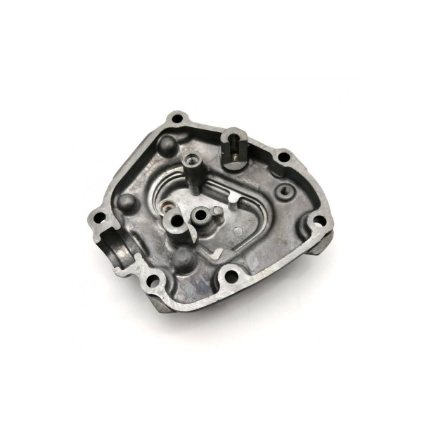 Carter moteur alternateur BRAZOLINE - YAMAHA YZF R1 1000 2009-2014