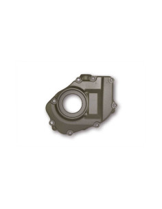 Carter allumage BRAZOLINE - HONDA CBF Hornet 600 2005-2006 - Gris