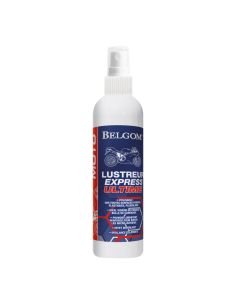 Lustreur Express Belgom 250 ml