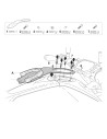 Bride Shad CLICK SYSTEM Y011CS Yamaha MT07