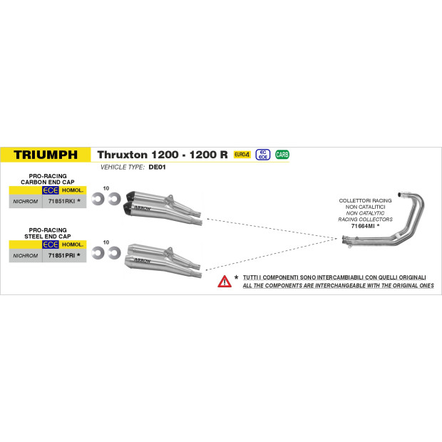 Paire de silencieux ARROW Pro-Racing nichrome en inox avec embout carbone - homologuée CE - TRIUMPH