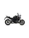 Silencieux d'échappement ARROW Maxi Race-Tech en titane avec embout carbone - homologué CE - BMW R 1250 R / RS 2019-2020