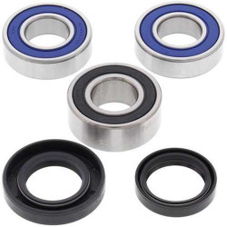 Kit roulements de roue Arrière All Balls 25-1418 CR WR125 250 360 99 TC TE610 99