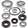 Kit roulement & joints de differentiel All Balls 25-2091 Kawasaki KVF650I arrière