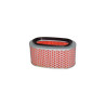 Air filter Hiflofiltro HFA1710
