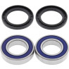 Wheel bearing kit Rear All Balls 25-1293 SUZUKI LT-A 400