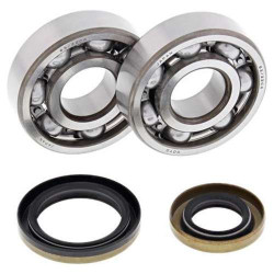 Kit roulements + spi de vilebrequin All Balls 24-1110 Gas Gas EC125