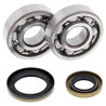Kit roulements + spi de vilebrequin All Balls 24-1110 Gas Gas EC125