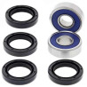 All balls 50-1073 Arctic Cat DVX300