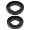 Joints spy de vilebrequin All Balls 24-2030 Kawasaki KX250/KDX250