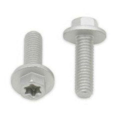 Vis Torx (x10) Bolt M6x100x20 tête hexagonale