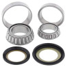 Kit roulements de colonne de direction All Balls 22-1063 Kawasaki KLX110