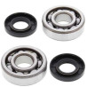 Kit roulements + spi de vilebrequin All Balls 24-1006 Kawasaki KX85/65