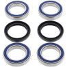 Kit roulements de roue Arrière All Balls 25-1456 YAMAHA YFZ450 '04-05