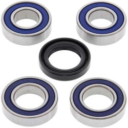Kit roulements de roue Avant All Balls 25-1051 SUZUKI XF650 FREEWIND 97-01