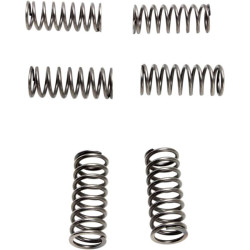 Ressorts d'embrayage EBC CSK198 Suzuki BANDIT 600