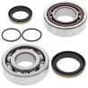 Kit roulements + spi de vilebrequin All Balls 24-1097 KTM SX/EXC125