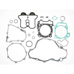 Full engine seals Tecnium 808687HC CCM/Yamaha