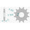 AFAM 13 teeth not 420 type 94119 Aprilia 50 Tuono