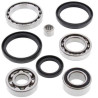 Kit bearing & joints of differential All Balls 25-2051 CAT/KYMCO ARCTIC