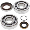 Kit roulements + spi de vilebrequin All Balls 24-1112 Gas Gas EC200