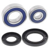 Kit rear wheel bearings All Balls 25-1282 Kawasaki KZ650