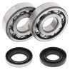 Kit roulements + spi de vilebrequin All Balls 24-1109 Husqvarna WR360
