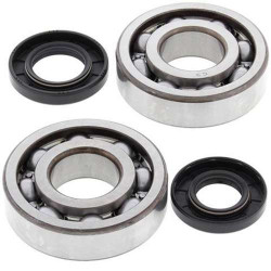 Kit bearings + spi de vilebrequin All Balls 24-1010 Kawasaki KX250