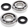 Kit roulements + spi de vilebrequin All Balls 24-1010 Kawasaki KX250