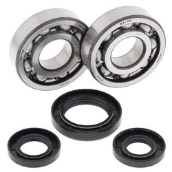 Kit bearings + spi de vilebrequin All Balls 24-1028 Yamaha YZ250