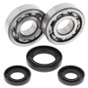 Kit bearings + spi de vilebrequin All Balls 24-1028 Yamaha YZ250