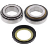 All Balls steering column bearings (22-1053) Tiger1050, Trophy 1200, Rocket III, Daytona 750