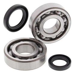 Kit roulements + spi de vilebrequin All Balls 24-1038 Suzuki LT500R