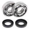 Kit bearings + spi de vilebrequin All Balls 24-1062 Yamaha YZ125