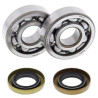 Kit roulements + spi de vilebrequin All Balls 24-1102 Husqvarna CR65