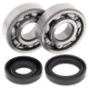 Kit bearings + spi de vilebrequin All Balls 24-1008 Kawasaki KX125