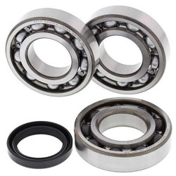 Kit roulements + spi de vilebrequin All Balls 24-1089 Polaris 500 Scrambler