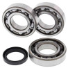 Kit roulements + spi de vilebrequin All Balls 24-1089 Polaris 500 Scrambler