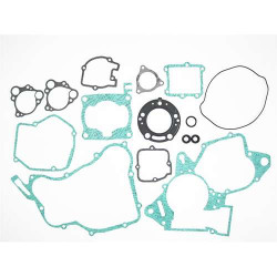 Full engine seals Tecnium 808243 Honda/HM
