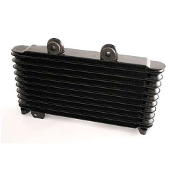 Radiateur d'huile Brazoline Suzuki GSF600 BANDIT 95-04