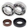 Kit roulements + spi de vilebrequin All Balls 24-1101 KTM Sx50