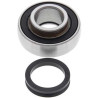 Steering column rolling kit All Balls 25-1614 ARTIC CAT