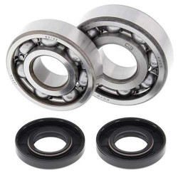 Kit roulements + spi de vilebrequin All Balls 24-1007 Kawasaki KX125